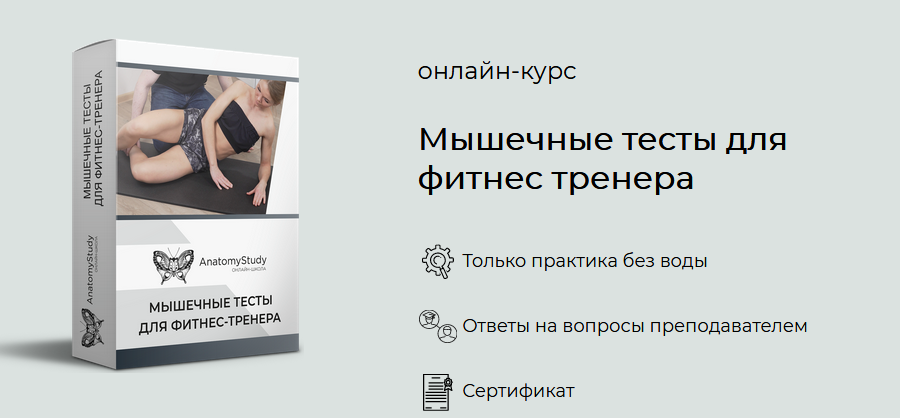 Андрей Богатырев Мышечные тесты для фитнес тренера 2021 слив курса