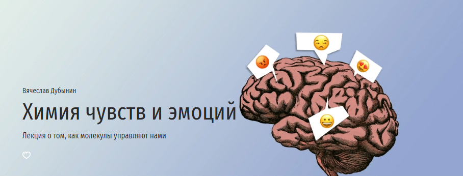 Прямая речь Вячеслав Дубынин - Химия чувств и эмоций 2022 слив курса