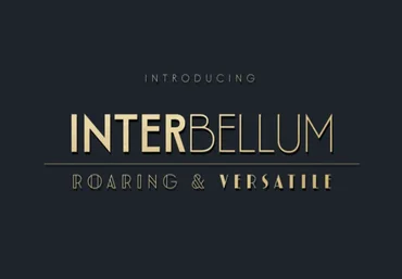 Myfonts Interbellum Font 2021 слив