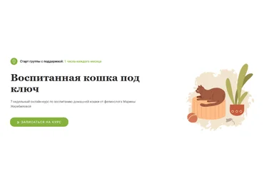 Марина Жеребилова Воспитанная кошка под ключ 2022 слив