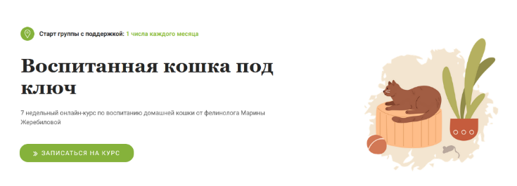 Марина Жеребилова Воспитанная кошка под ключ 2022 слив курса
