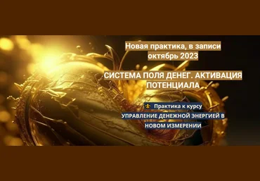 Эмилия Франк Система поля денег. Активация потенциала 2023 слив