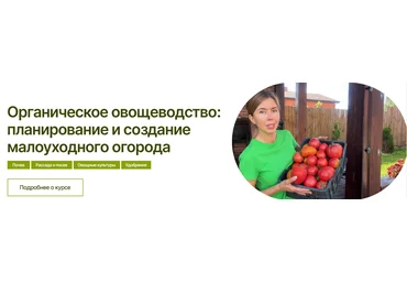 Марина Шевлякова Органическое овощеводство: планирование и создание малоуходного огорода 2025 слив