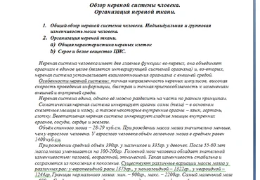 Анатомия ЦНС - Ремнева 2005 слив