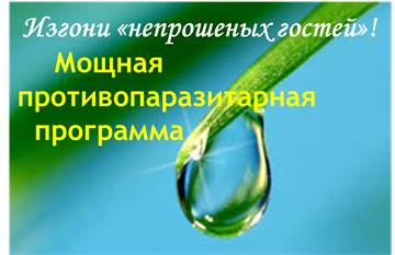 Изгони непрошеных гостей - Дудник 2016 слив курса