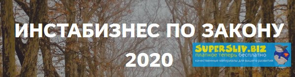 Катерина Пимкина Инстабизнес по закону 2020 2019 слив курса