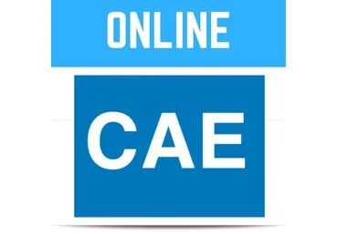 Newson's Place Paul Newson ― CAE – Certificate in Advanced English - C1 whole course 2020 скачать слив