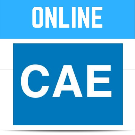 Newson's Place Paul Newson ― CAE – Certificate in Advanced English - C1 whole course 2020 слив курса