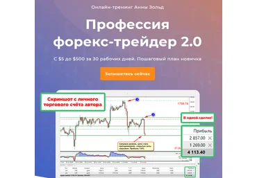 Анна Зольд Профессия форекс-трейдер 2.0 2020 слив