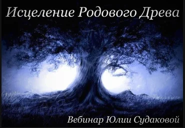 Исцеление родового древа слив