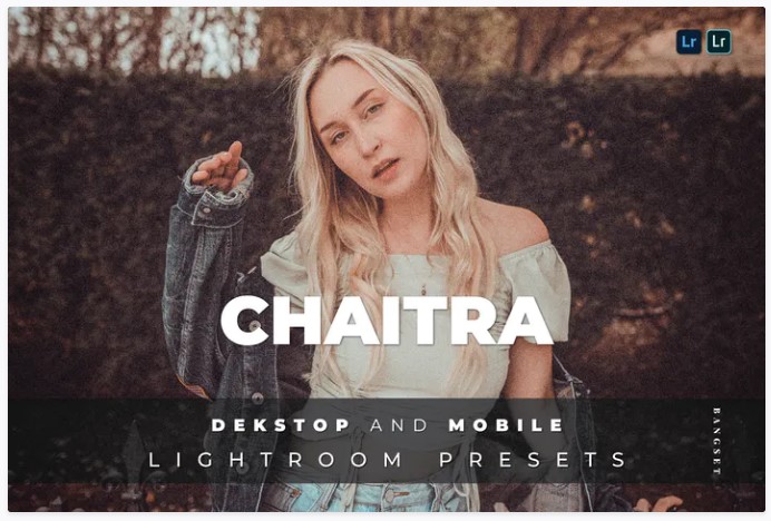 Elements.Envato Chaitra Desktop and Mobile Lightroom Preset 2021 слив курса