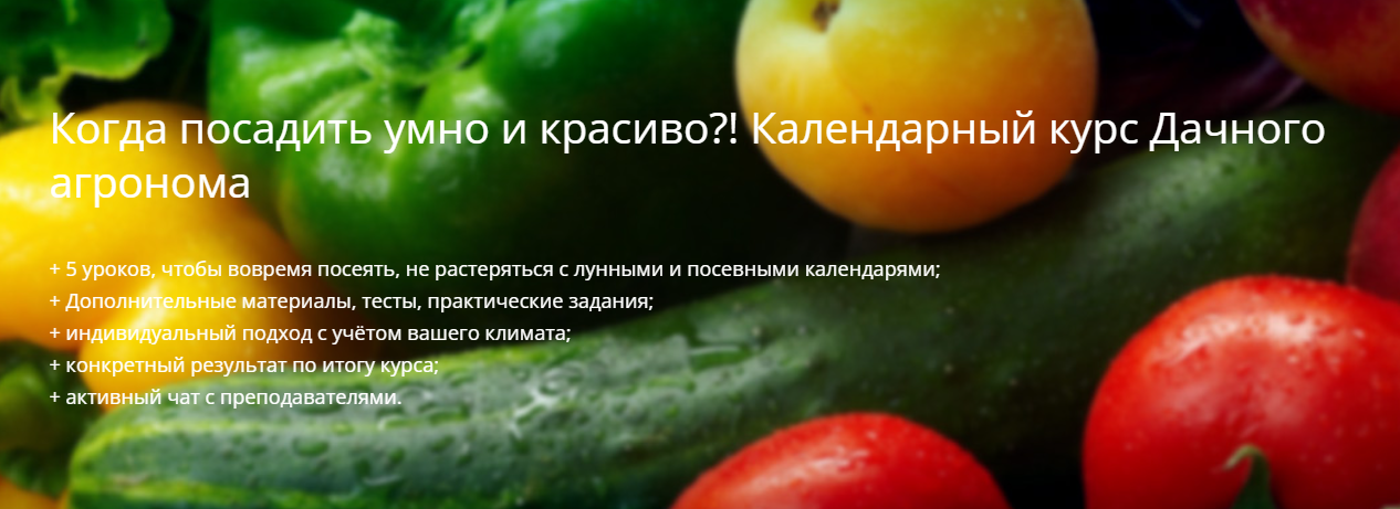 Дачный агроном Когда посадить умно и красиво?! Календарный курс 2023 слив курса