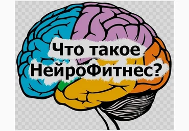 neurofitnes.ru Что такое НейроФитнес 2021 слив