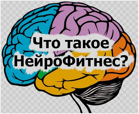 neurofitnes.ru Что такое НейроФитнес 2021 слив курса