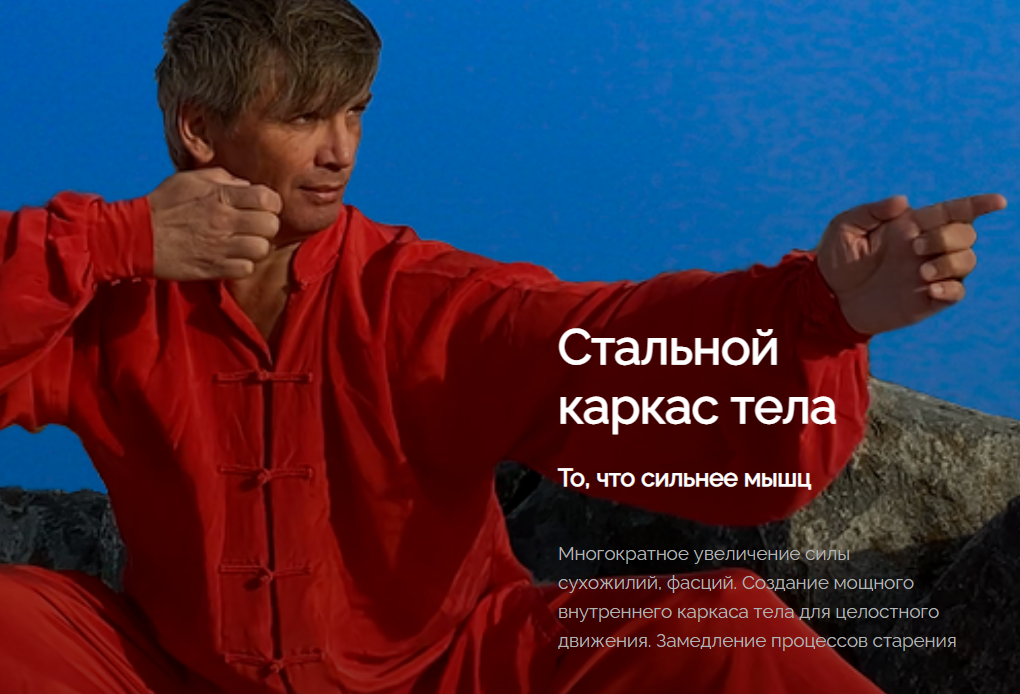 Олег Дегтярёв Стальной каркас тела 2021 слив курса