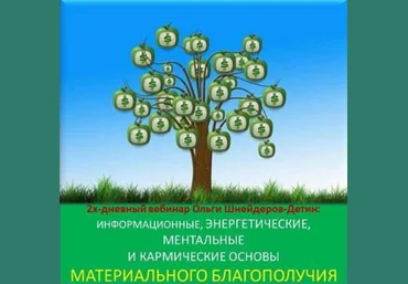 Ольга Шнейдеров-Детин inaintera Вебинар «Основы материального благополучия» 2024 слив