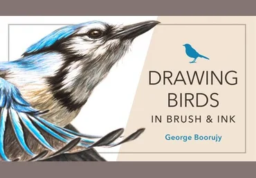 Craftsy - Drawing Birds in Brush and Ink - Boorujy слив
