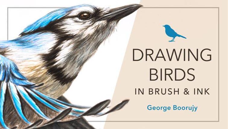 Craftsy - Drawing Birds in Brush and Ink - Boorujy слив курса