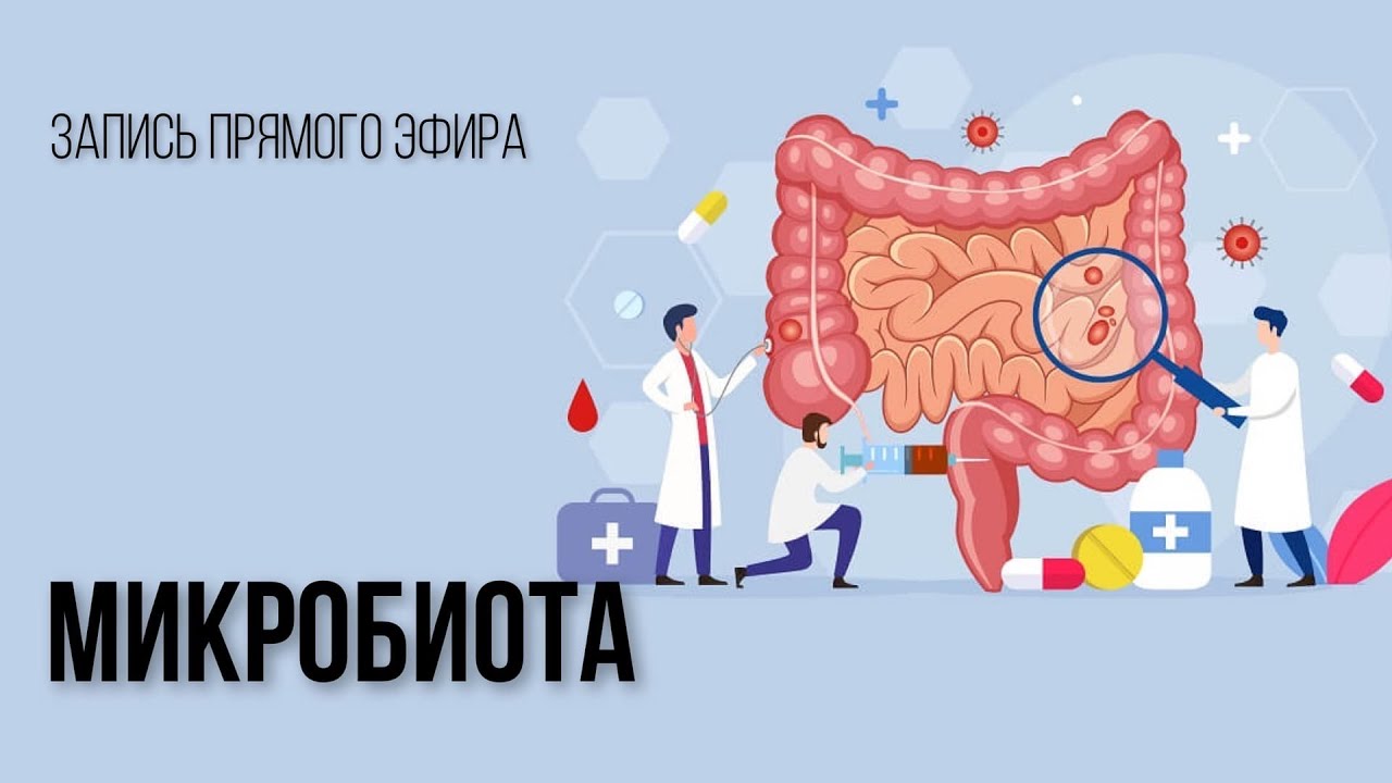 Григорий Крутов, Елена Молокова Микробиота 2021 слив курса