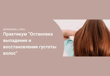 Инкубатор волос Алена Панова - Остановка выпадения и восстановление густоты волос 2023 слив