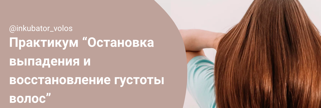 Инкубатор волос Алена Панова - Остановка выпадения и восстановление густоты волос 2023 слив курса