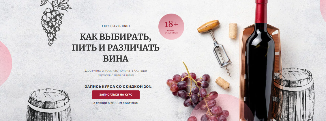 Яна Савельева Как выбирать, пить и различать вина 2023 слив курса