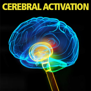 Cerebral Activation - Церебральная активация - IDOSER бинаурал слив курса
