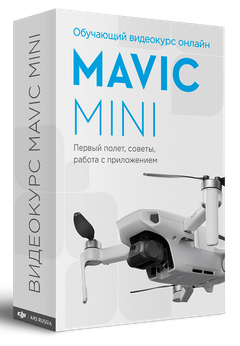 Djimsk Видеокурс DJI Mavic Mini онлайн. Первый полет, советы, работа с приложением слив курса