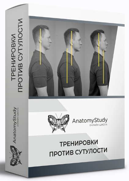 Александр СеменовAnatomyStudy Тренировки против сутулости. Диагностика и коррекция осанки 2023 слив курса