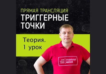 Максим Волков Grand Secret Тригерные точки. Теория. Урок 1 2023 слив