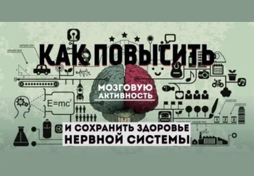 Как повысить мозговую активность и сохранить здоровье нервной системы - Мелкумянц 2017 слив