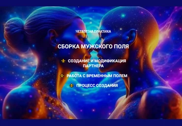 Эмилия Франк Сборка мужского поля. Создание партнера. Работа с Временным Полем 2023 слив