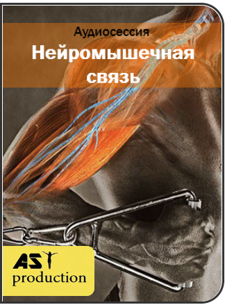 Нейромышечная связь - AST production 2016 слив курса