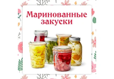 Ольга Данчук, Елена Воронцова Ленивый кулинар Маринованные закуски к шашлыкам 2022 слив