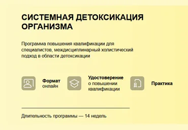 Людмила Селедцова УОМ Системная детоксикация организма 2024 слив
