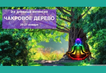 Чакровое дерево - Осипов 2016 слив