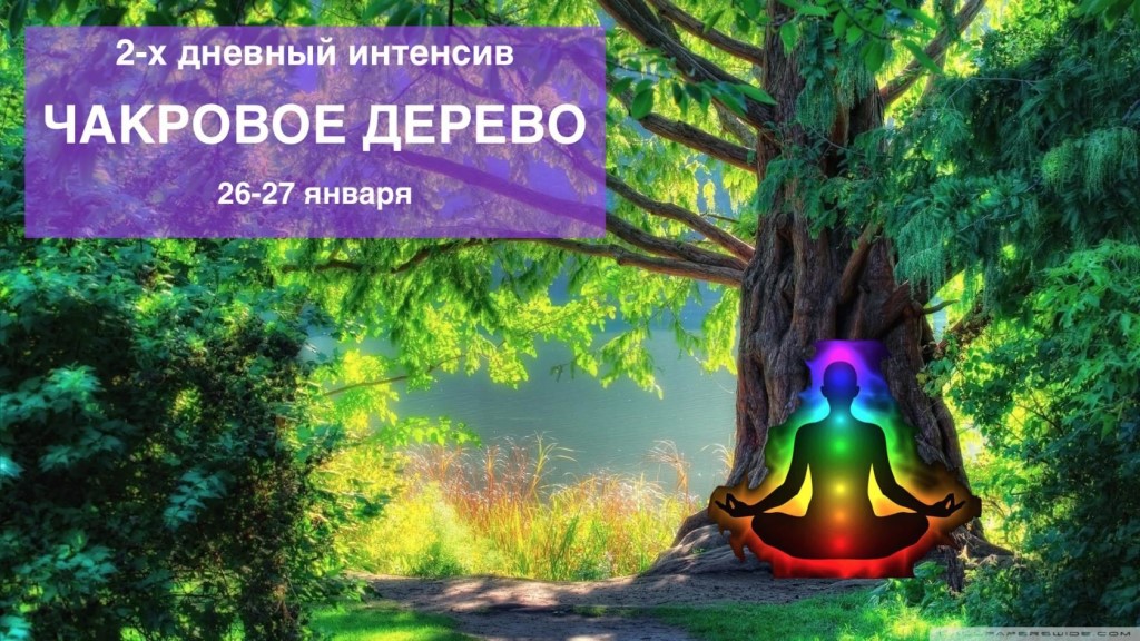 Чакровое дерево - Осипов 2016 слив курса