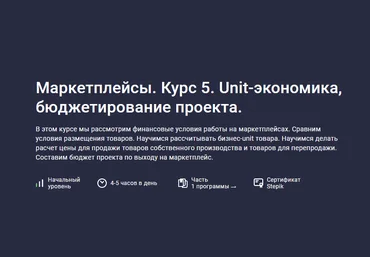 Анастасия Эджингтон Stepik Маркетплейсы. Курс 5. Unit-экономика, бюджетирование проекта 2023 слив