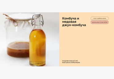 Мария Сочилкина fermentinwonderland.ru Комбуча и медовая джун-комбуча 2023 слив