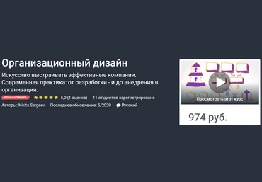 Udemy Никита Сергеев - Организационный дизайн 2020 слив