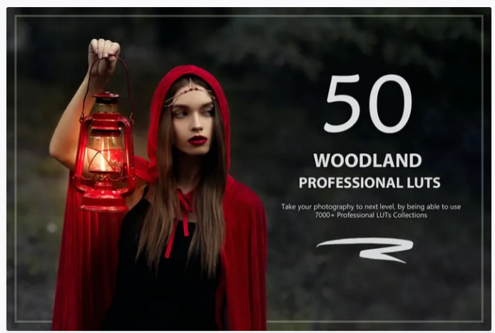 Elements.Envato 50 Woodland LUTs and Presets Pack 2021 слив курса