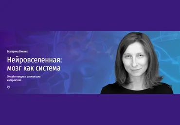 Прямая речь Екатерина Винник - Нейровселенная: мозг как система. Онлайн-интенсив о связи нейронов слив