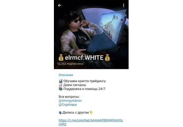 Elrmcf Обучающий курс слив