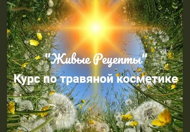Наташа Бутова Живые рецепты. Курс по травяной косметике 2023 слив