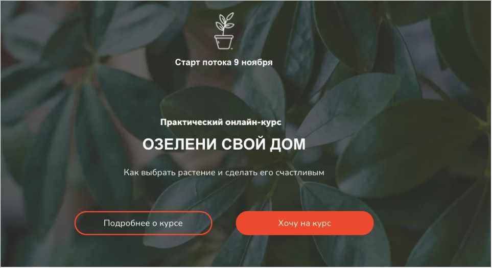 Plants_zasteklom Натали Серова ― Озелени свой дом 2021 слив курса