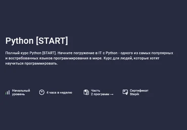 Future People Stepik Python.Start 2025 слив