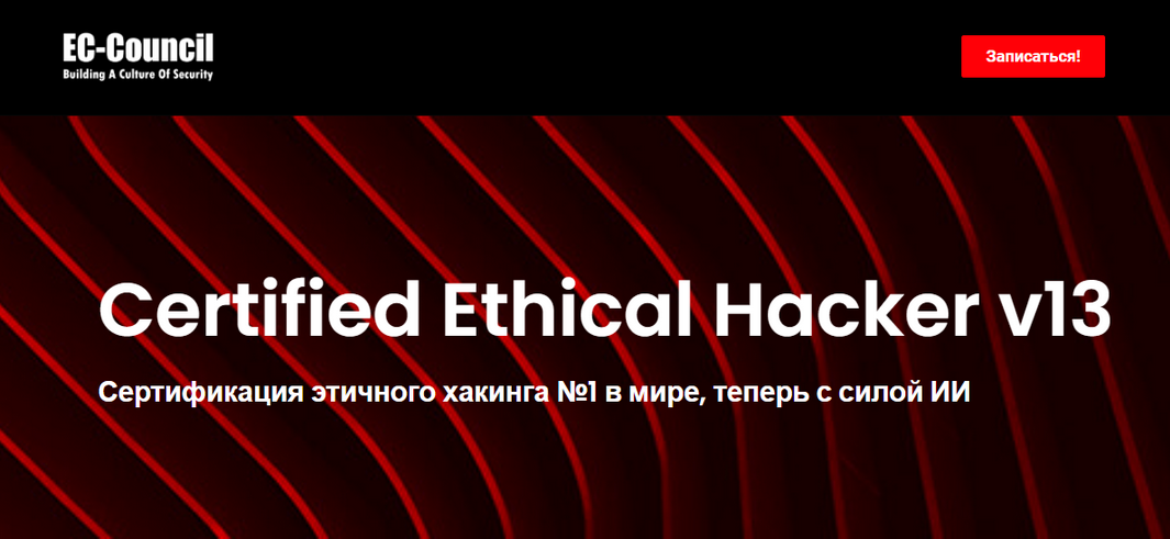 EC-Council CEH v13. Этичный хакинг и тестирование на проникновение. Часть 4 2024 слив курса