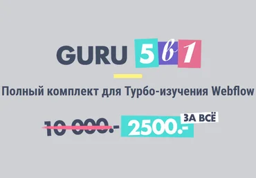 Создаем адаптивные сайты как ГУРУ-WEBFLOW скачать слив
