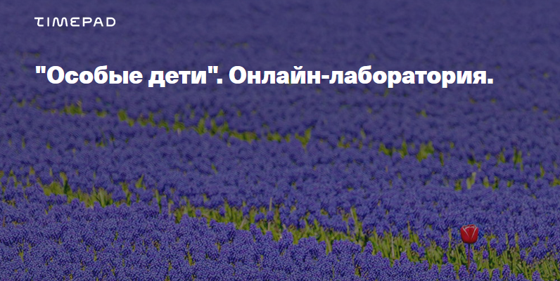 Timepad Елена Веселаго - «Особые дети». Онлайн-лаборатория 2021 слив курса
