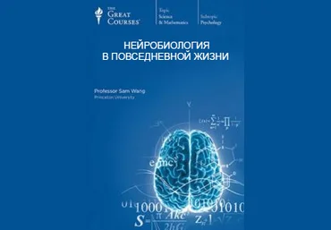 Нейробиология в повседневной жизни. Часть 3 - Вонг С. 2016 слив